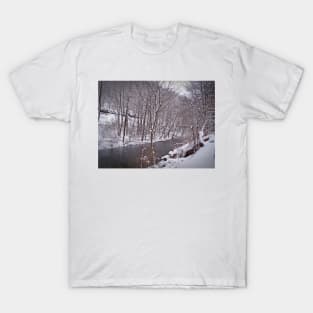 Winter River T-Shirt